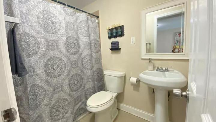 1bed Abode Near Main Attractions